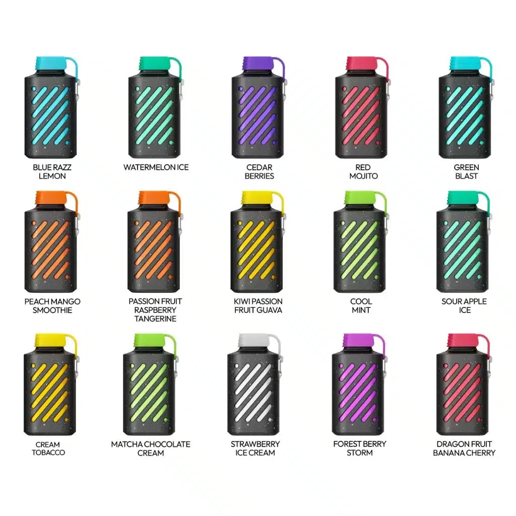 VOZOL 10000 PUFFS DISPOSABLE